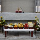 분당요한성당 이미지