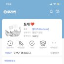 다산마리동물병원 이미지