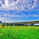 대저생태공원 이미지