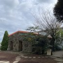 통통통 자전거 | 제주 서귀포 가볼만한곳 추천 / &#34;목장카페 밭디&#34; 승마체험 내돈내산 후기