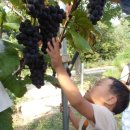 백천농장 이미지