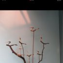 서울솟대