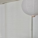 평화제일오투그란데에버 이미지