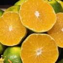 푸른푸릇 이미지