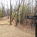 우면산3-8 이미지