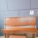 아이와 천사와 개