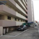 남구-117 이미지