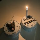 솜댕 | [광주 서구 강아지 케이크 맛집] 솜댕 내돈내산 🐶 해피생일 축하 후기
