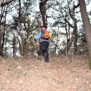 양지마을건물 이미지