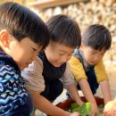 수니유치원 이미지