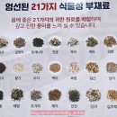 만세흑염소