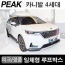 루프스테이