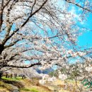 봉황대운동장 이미지