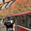 운정1·2동 행정복지센터 | 6개월 아기와 우당탕탕 대만 타이중 여행 번외편 - 준비과정 1