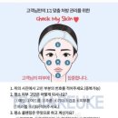 백화에스테틱 네이버블로그