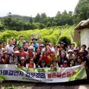 김삿갓면-27 이미지