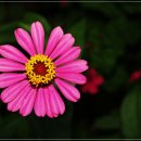 인의초등학교 이미지