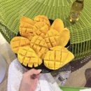 제일종합공구 | [공지] [2월4일 오픈] 미소맘 보홀 공구 혜택 미리보기