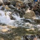 계곡식당 이미지