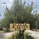 드림자동차서비스 | [공주] 계룡산 글램핑 파크오브드림 | 가족 글램핑 후기