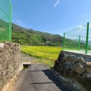 화개중학교 이미지