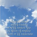 겨자씨의 믿음