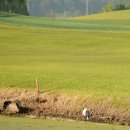 링크나인골프클럽 이미지