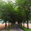 화천향교 이미지