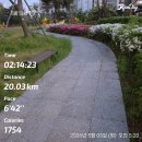 선양 어린이집 | 주간 러닝일지(5월 2주), 총 64km 돼지런한 일주일