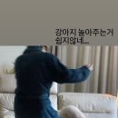 호두스토리