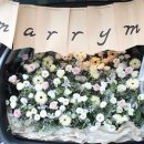 인플라워 이미지