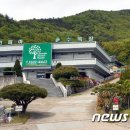 그린피아수목장 이미지