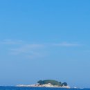 제주섬부동산공인중개사사무소 | &#39;섬 여행 어디까지 가봤니?&#39; 광복절 연휴 여름 인생...고성 속초 부동산 바다 돌 공인중개사 스릴...