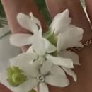 프로포즈 헤어코디 | [Wedding - 대전 세미앙 스튜디오 촬영 후기] / 김다희 작가님, 강선희 코디님