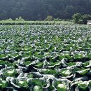 정선주유소 이미지