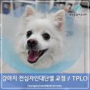 행신동물의료센터 이미지