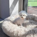 오딘루카