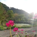 연못민박 이미지