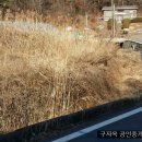 창정농장 이미지