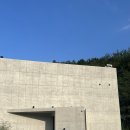 더멍멍컴퍼니 이미지