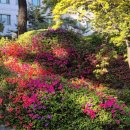 논현고잔동-7 | [공지] 서울 근교, 경기도 가족모임하기 좋은 맛집 리스트