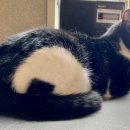 오니기리야 이미지