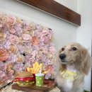 인물나개 이미지