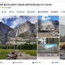 요세미티 국립공원 당일투어 내돈내산 후기 욜로투어 스냅