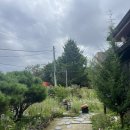 시인의집 | [공주]나태주 풀꽃 문학관 솔직후기 / 시인의 집, 나태주박물관, 주차, 공주가볼만한곳