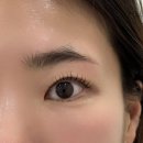 삼안로221번길 | [김해] 삼방동 속눈썹 맛집 메이원뷰티에서 블랙틴팅펌 받은 후기