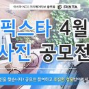 픽스타 이미지