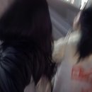 세븐일레븐 부산엄궁초점 | 🍣 후쿠오카 먹짱 여행 1일차