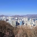 남산산책(ELF OB) 이미지
