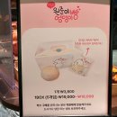강릉 교동 베이커리 가루 원준이 엉덩이빵 후기